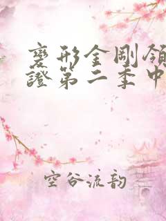 变形金刚领袖之证第二季中文版
