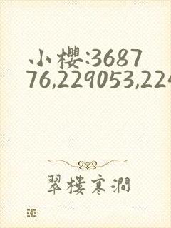 小樱:368776,229053,224503什么意思
