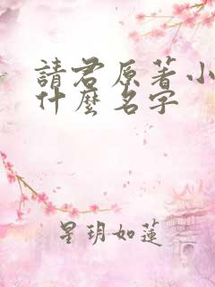 请君原著小说叫什么名字