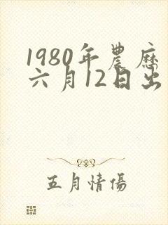 1980年农历六月12日出生命运