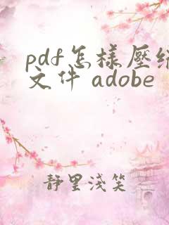 pdf怎样压缩文件 adobe