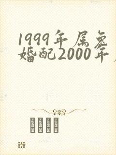 1999年属兔婚配2000年属龙怎么样