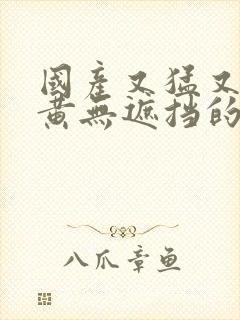 国产又猛又爽又黄无遮挡的视频