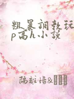 粗暴调教玩弄np高h小说