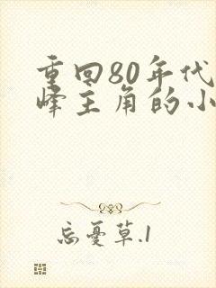 重回80年代陆峰主角的小说
