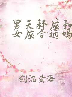 男天秤座和女处女座合适吗