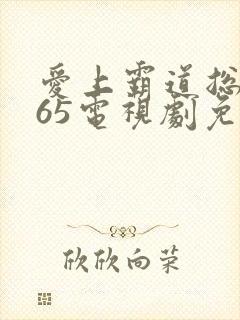 爱上霸道总裁365电视剧免费观看全集