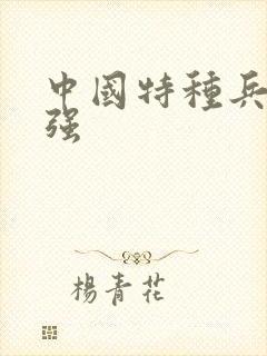 中国特种兵有多强