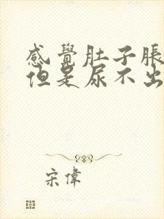 感觉肚子胀有尿但是尿不出来怎么办