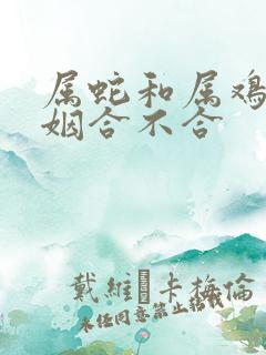 属蛇和属鸡的婚姻合不合