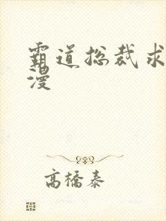 霸道总裁求抱抱漫