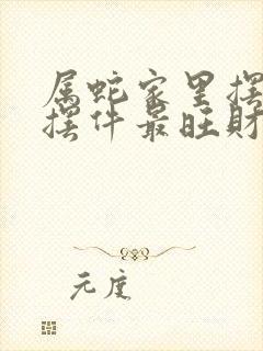 属蛇家里摆什么摆件最旺财