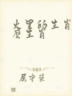 火里的生肖是什么生肖