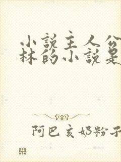 小说主人公叫王林的小说是什么