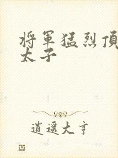 将军猛烈顶弄h太子