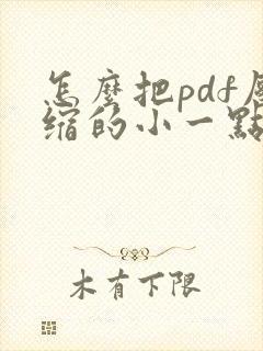 怎么把pdf压缩的小一点