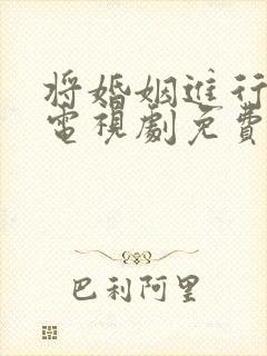 将婚姻进行到底电视剧免费观看