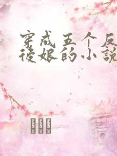 穿成五个反派的后娘的小说