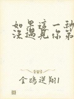 如果这一秒,我没遇见你第8章
