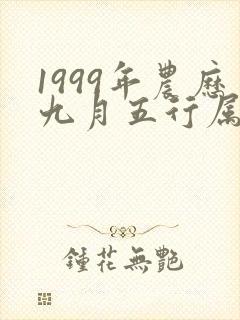 1999年农历九月五行属什么