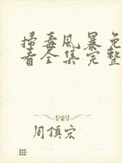 扫毒风暴免费观看全集完整版电视剧