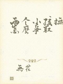 两个小孩抚养权怎么争取