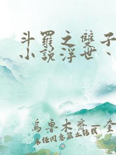 斗罗之双子斗罗小说浮世丶
