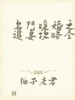 名门暖婚之权爷追妻攻略全文在线阅读