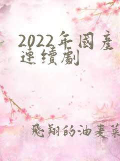 2022年国产连续剧