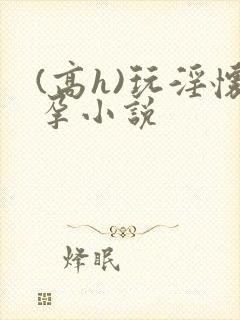 (高h)玩淫怀孕小说