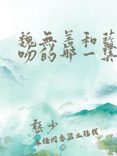 魏无羡和蓝湛亲吻的哪一集