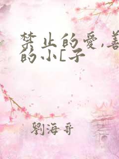 禁止的爱,善良的小[子