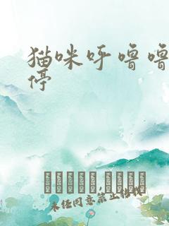 猫咪呼噜噜噜不停