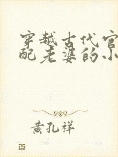 穿越古代官府分配老婆的小说