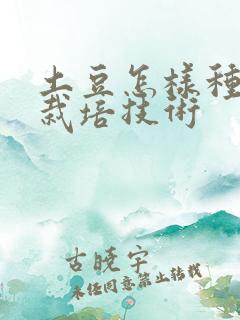 土豆怎样种高产栽培技术