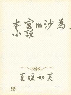 本宫m沙为主的小说