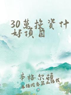 30万投资什么好项目