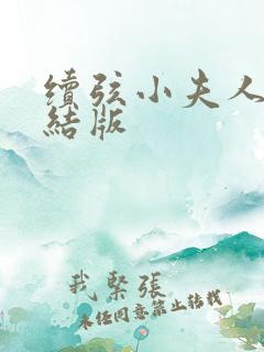 续弦小夫人 完结版