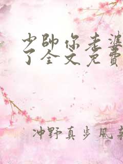 少帅你老婆又跑了全文免费阅读小说