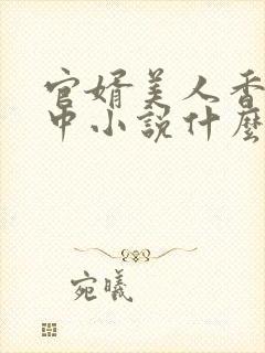官婿美人香刘志中小说什么书名