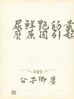 尿鲜艳的黄是什么原因引起的