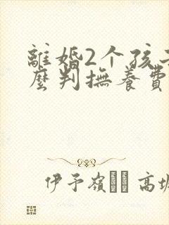 离婚2个孩子怎么判抚养费