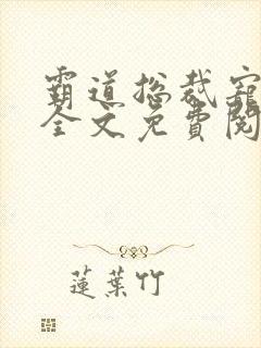 霸道总裁宠上天全文免费阅读全文