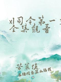 xl司令第一季全集观看