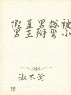 假直男总被言情男主掰弯小说