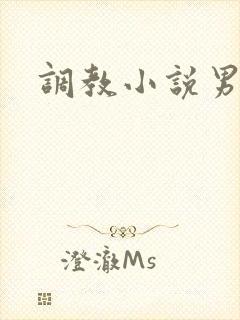 调教小说男男h