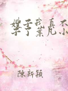 嫂子我真不是傻子了叶凡小说最新章节精校版