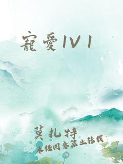 宠爱1V 1