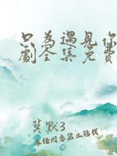 只为遇见你电视剧全集免费高清在线观看