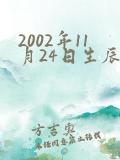 2002年11月24日生辰八字算命